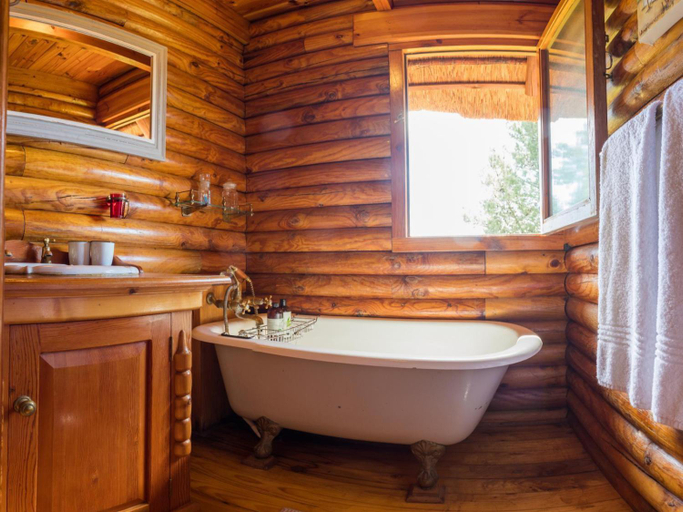 Bathroom 4, Mountain Cabin private hot tub and swimming pool, Cape Winelands
