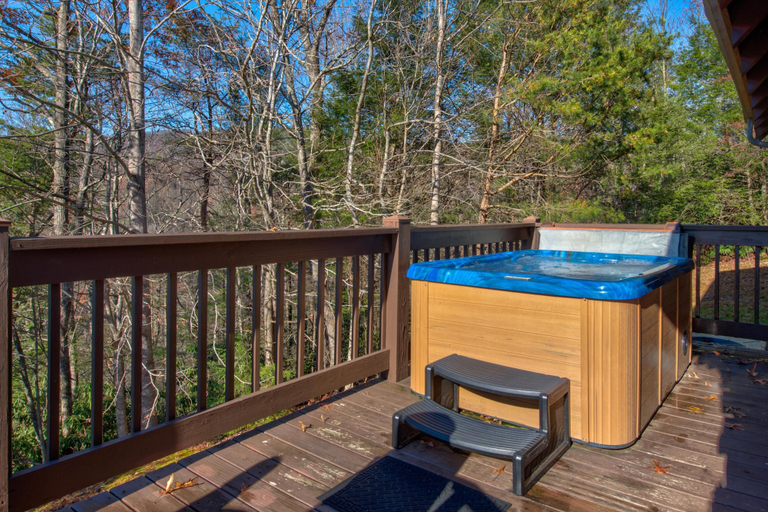 Outdoor spa tub 4, Honey Bear, Sevier