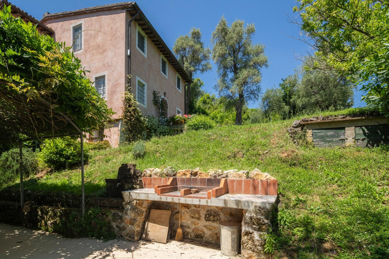 Exterior & Views 1, La Casa Dei Limoni, Camaiore, Pet Friendly, Wifi, Lucca