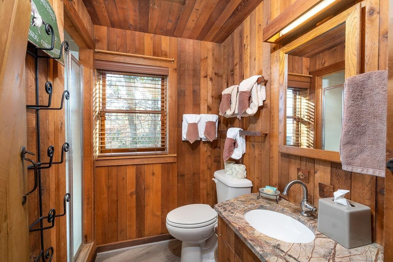 Bathroom 5, Buckhorn Hideaway, Sevier