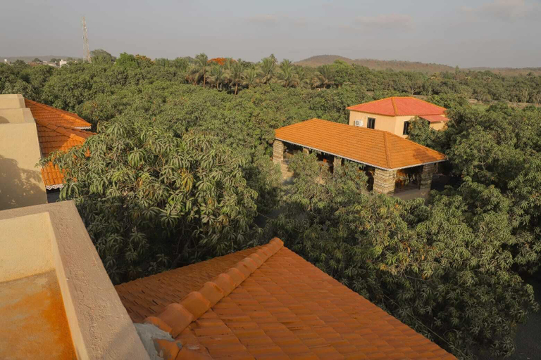 Property grounds 2, Gir Vintage Villa, Gir Somnath