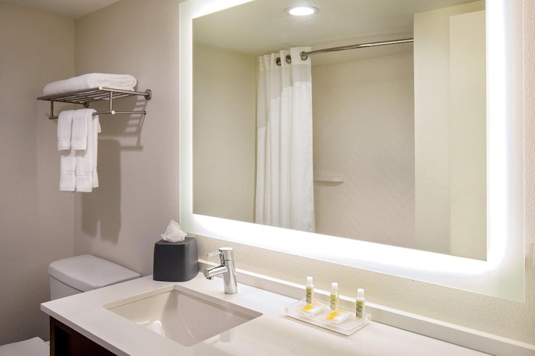 Bathroom 3, Magnuson Hotel and Convention Center at Oyster Point, Newport News