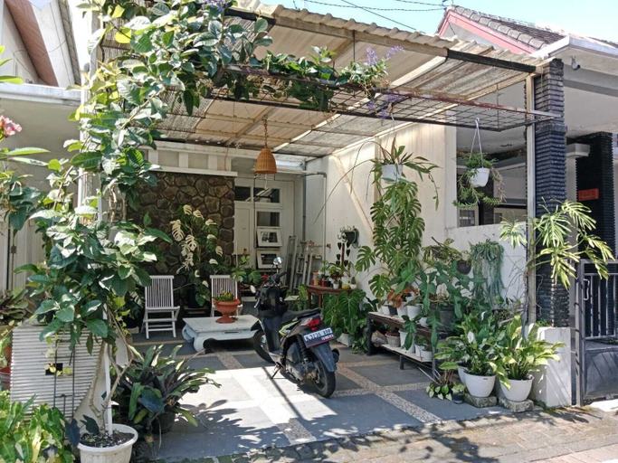 Primary image