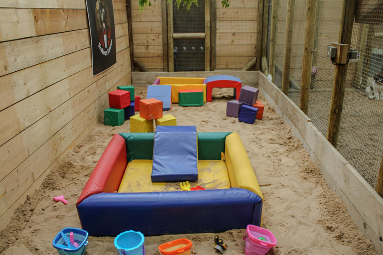 Room 2, Drumcoltran Cabin - Puppy Lounge Arcades Games Room, Lincolnshire