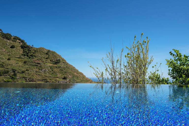 Pool 3, BOTÂNICA LIVING, Câmara de Lobos