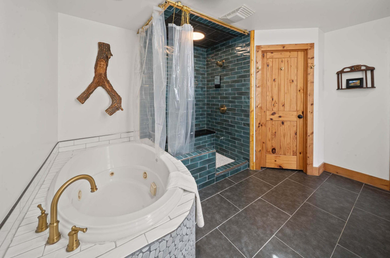 Bathroom 3, Sit Stay Play - pet Friendly, Beech Mtn, Huge Views, Watauga