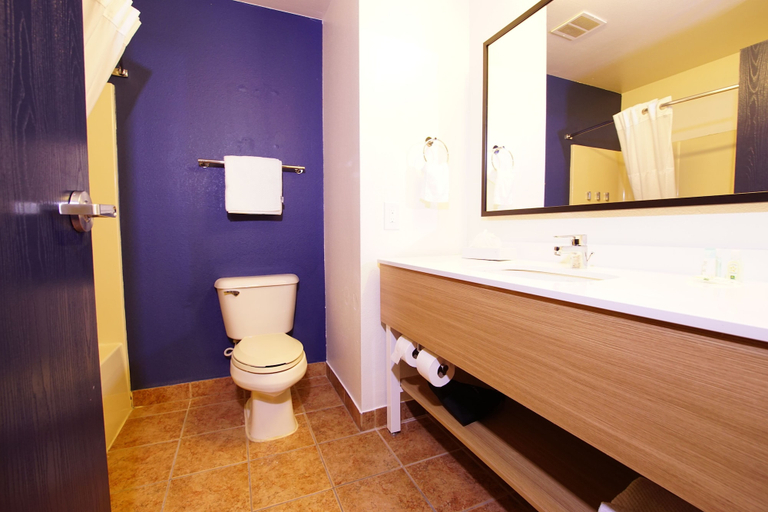 Bathroom 4, Quality Inn & Suites Georgetown - Seaford, Sussex