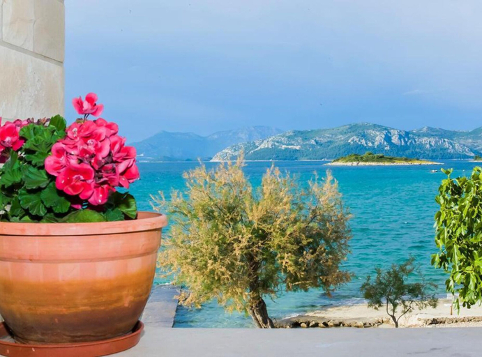 View from property 4, Apartments Sea View Pelješac, Janjina