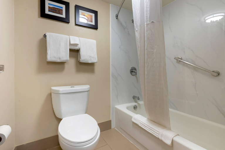 Bathroom 4, Comfort Inn Binghamton I-81, Broome