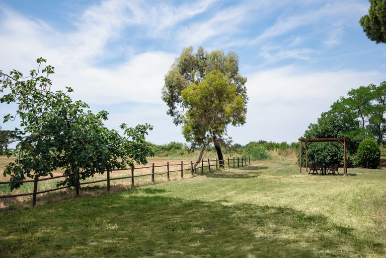 Others 5, Agriturismo Quercesecca - Nature & Relax, Grosseto