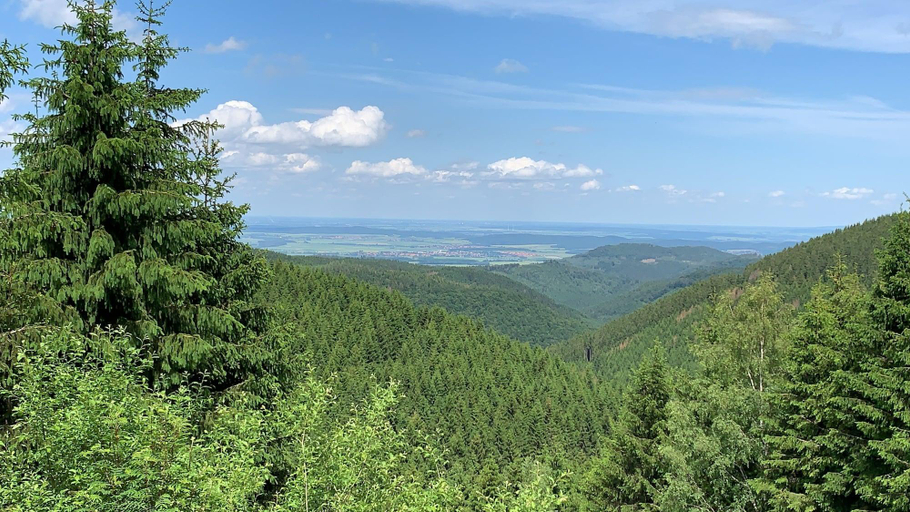 Others 4, Haus am Hochwald, Goslar