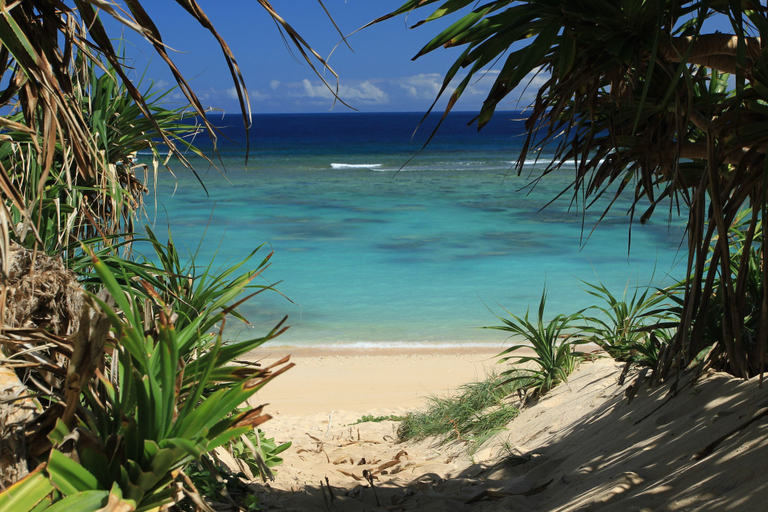 View from property 2, mukaka villa kouriisland okinawa, Nakijin