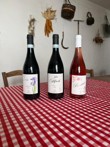 Food & Drinks 5, Borgo Iris - Wine Farm in Cortona, Arezzo