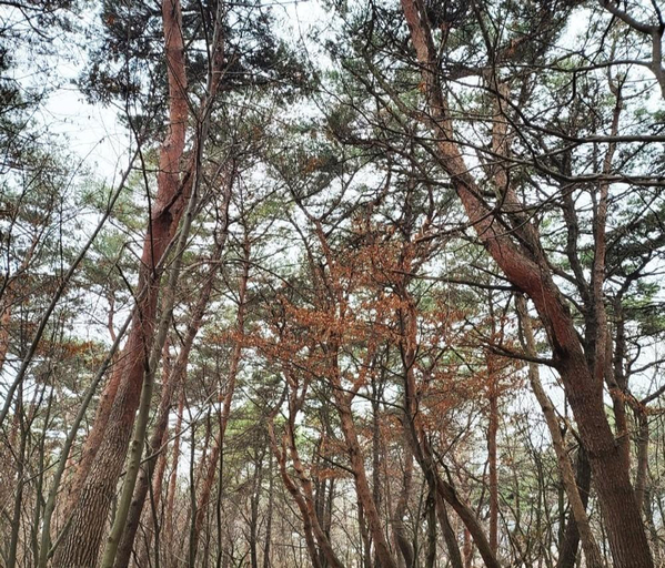 Others 4, Baro Village, Boryeong