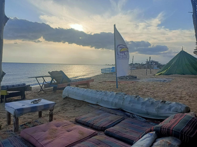3, blue Bird, Nuweiba'