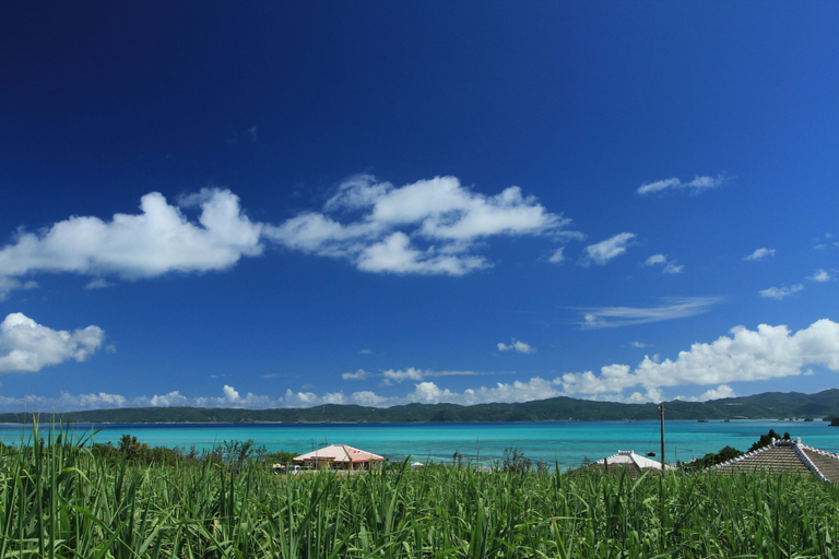 View from property 4, mukaka villa kouriisland okinawa, Nakijin