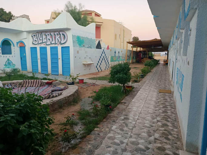 4, blue Bird, Nuweiba'