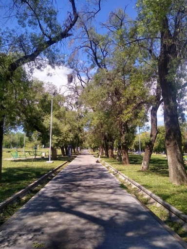 Others 5, Hotel Alta Mendoza, Capital