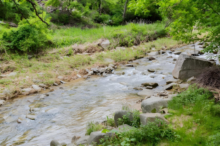 Others 3, Bongpyeong Moolsori Pension, Pyeongchang