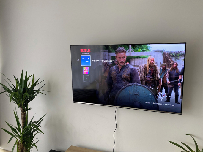 Television, TheLabel Residences, Main-Taunus-Kreis