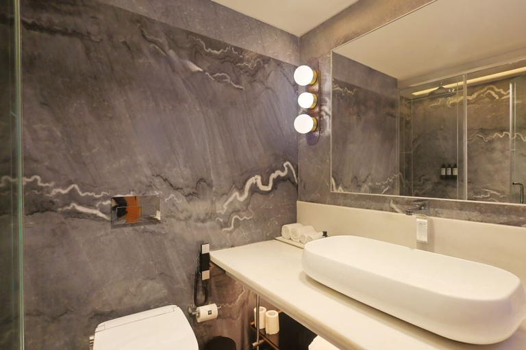 Bathroom 5, The Park New Delhi, Delhi