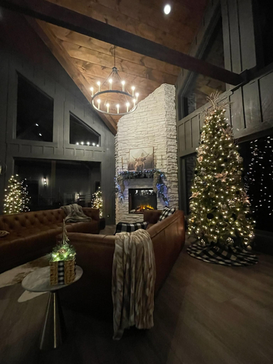 Interior 3, The Ember, Sevier
