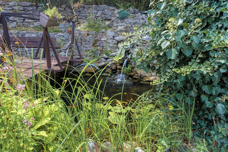 Property grounds 3, Villa Salamander Suite - Garden & EV charger - Happy Rentals, Komen