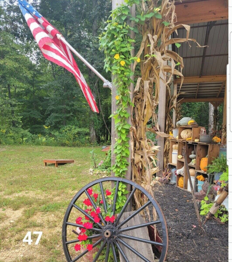 Property grounds 4, Country Sunshine Cabins, Perry