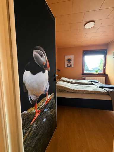 Room 5, Guesthouse Leon, Tórshavn