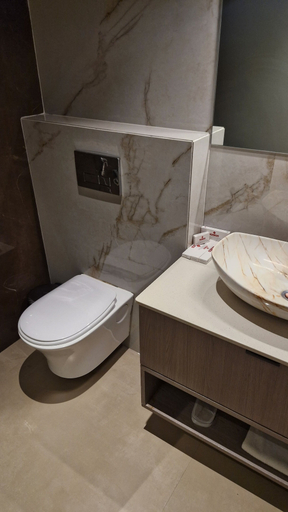 Bathroom 2, GREEN FUSION, Surat