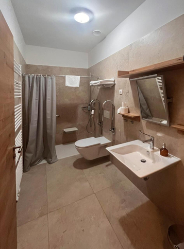 Bathroom, Guesthouse Tursic, Vrhnika