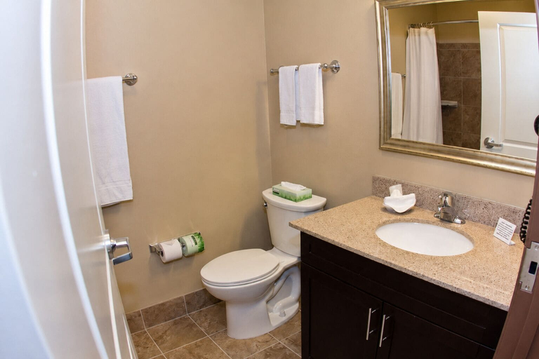 Bathroom 4, MainStay Suites Rapid City, Pennington