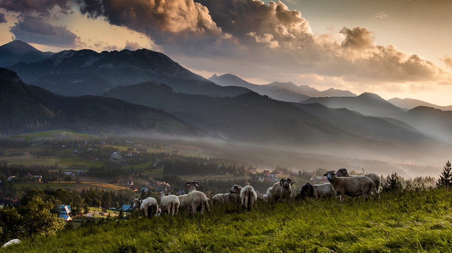 View from property 3, Half of a Semi-detached House With a Private Sauna, Tatra