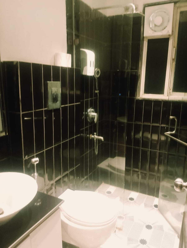 Bathroom, The Saga Hotel Green Park, Delhi