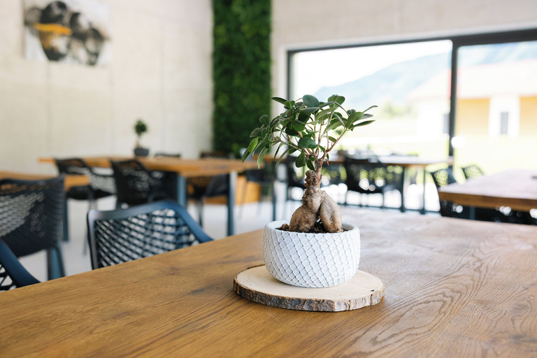 Outdoor dining, Soča River Resort - Boutique Apartments, Tolmin