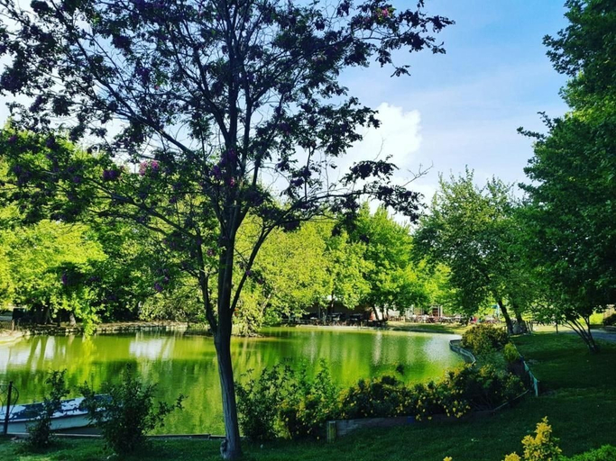 Miscellaneous, Naturla Doğa Oteli Urla, Seferihisar