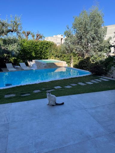 Sport & Beauty 3, Palms Suite, Brindisi