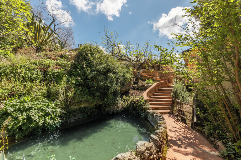 Property grounds 3, Villa Falcone - Happy Rentals, Catania