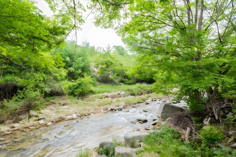 Others 4, Bongpyeong Moolsori Pension, Pyeongchang