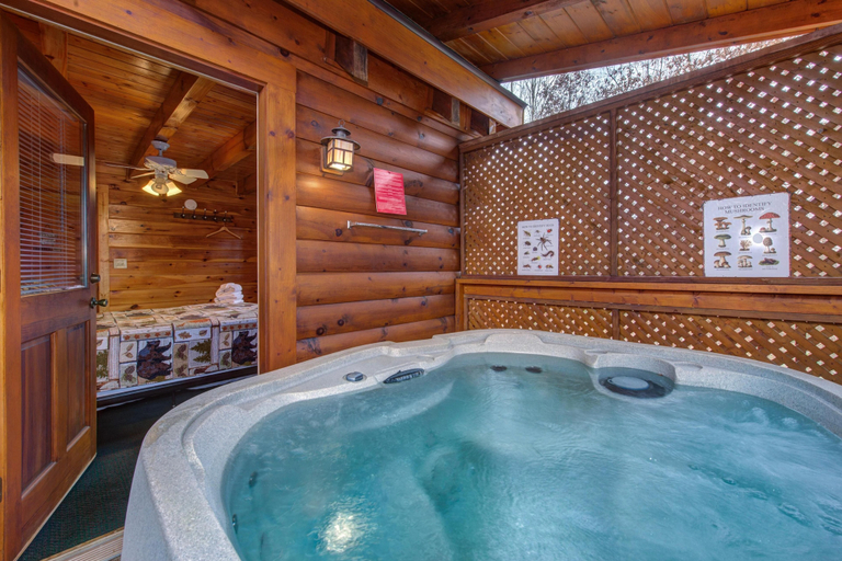 Indoor spa tub 3, Bearcation, Sevier