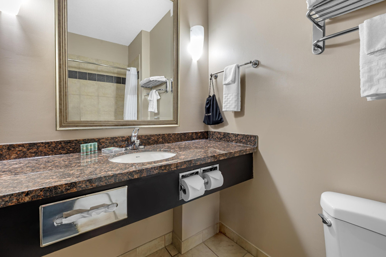 Bathroom 4, Best Western Estevan Inn & Suites, Division No. 1