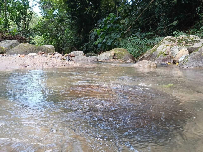 Miscellaneous 4, El Renacer de marinka, Santa Marta (Dist. Esp.)