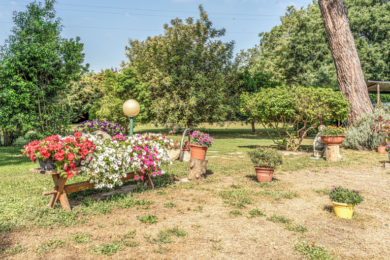 Property grounds 5, Podere Pala - Pet Friendly, Grosseto