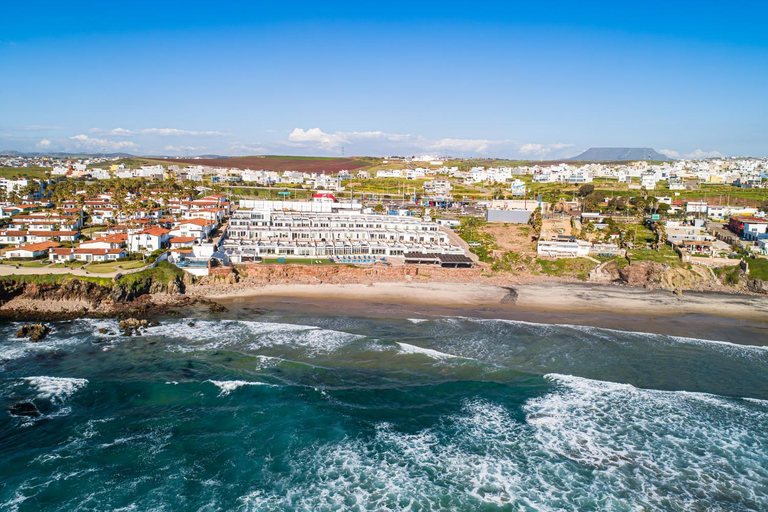 Others 4, Dog-Friendly Suite with Kitchenette, Heated Outdoor Pool, Hot Tub, Private Patio, Tijuana