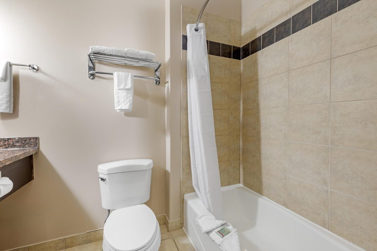 Bathroom 4, Best Western Estevan Inn & Suites, Division No. 1