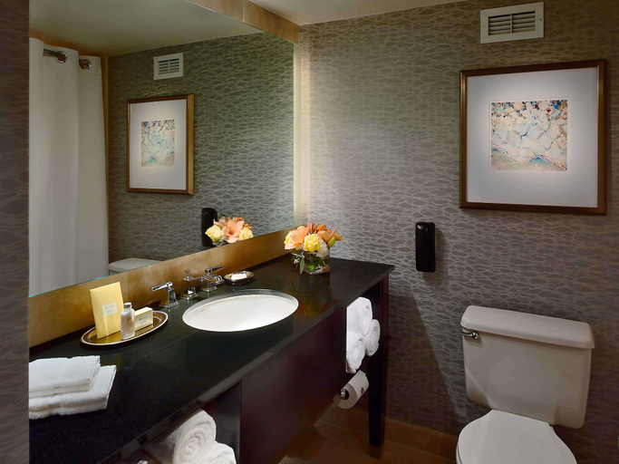 Bathroom 4, The Royal Sonesta Houston Galleria, Houston