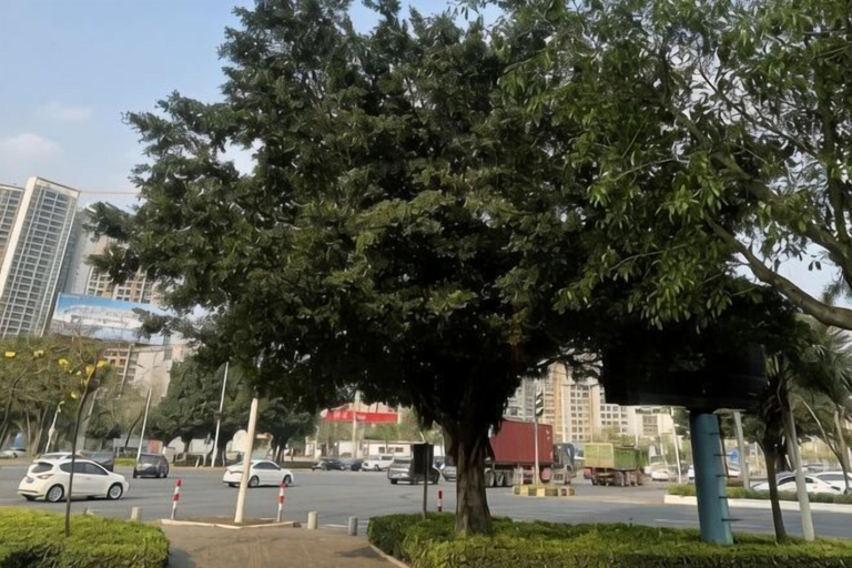 Exterior & Views 2, Green Island Holiday Hotel, Jiangmen