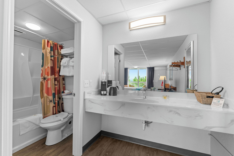 Bathroom 4, The Retro Hotel, Taney