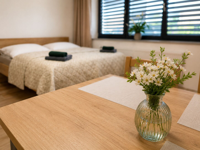 Room 2, Microbyty & Apartments, Děčín