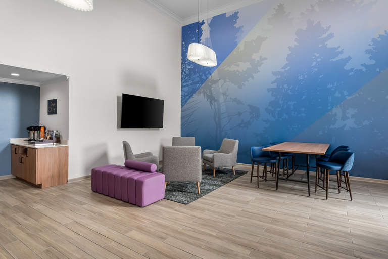 Public Area 4, Sleep Inn & Suites near University, White